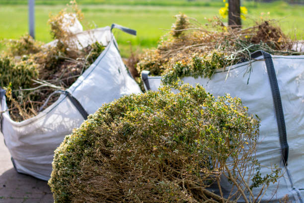 Trash Removal Near Me in Canton, PA